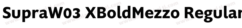 SupraW03 XBoldMezzo Regular字体转换